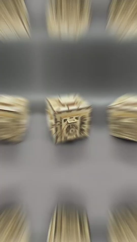 Coffre-Fort Ugears 3D en Bois - Puzzle Mécanique avec Serrure à Combinaison | 179 Pièces